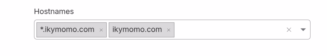 hostnames setting