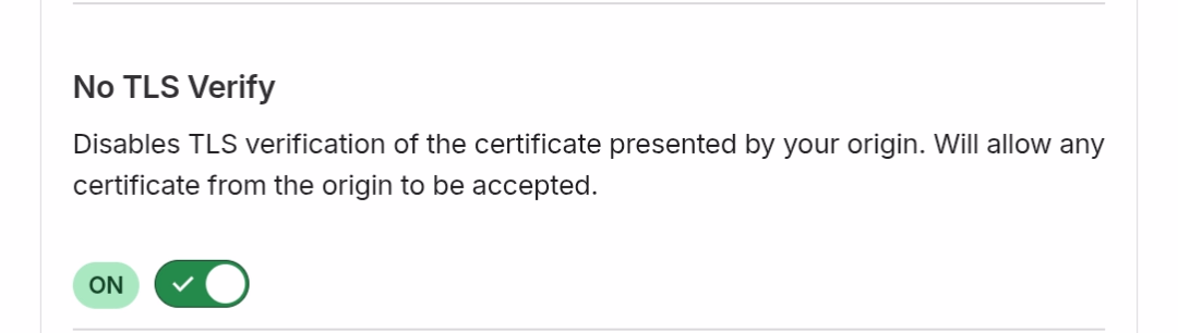 no tls verify settings