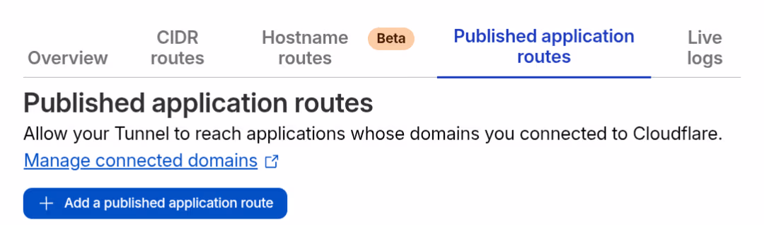 cloudflare public hostname